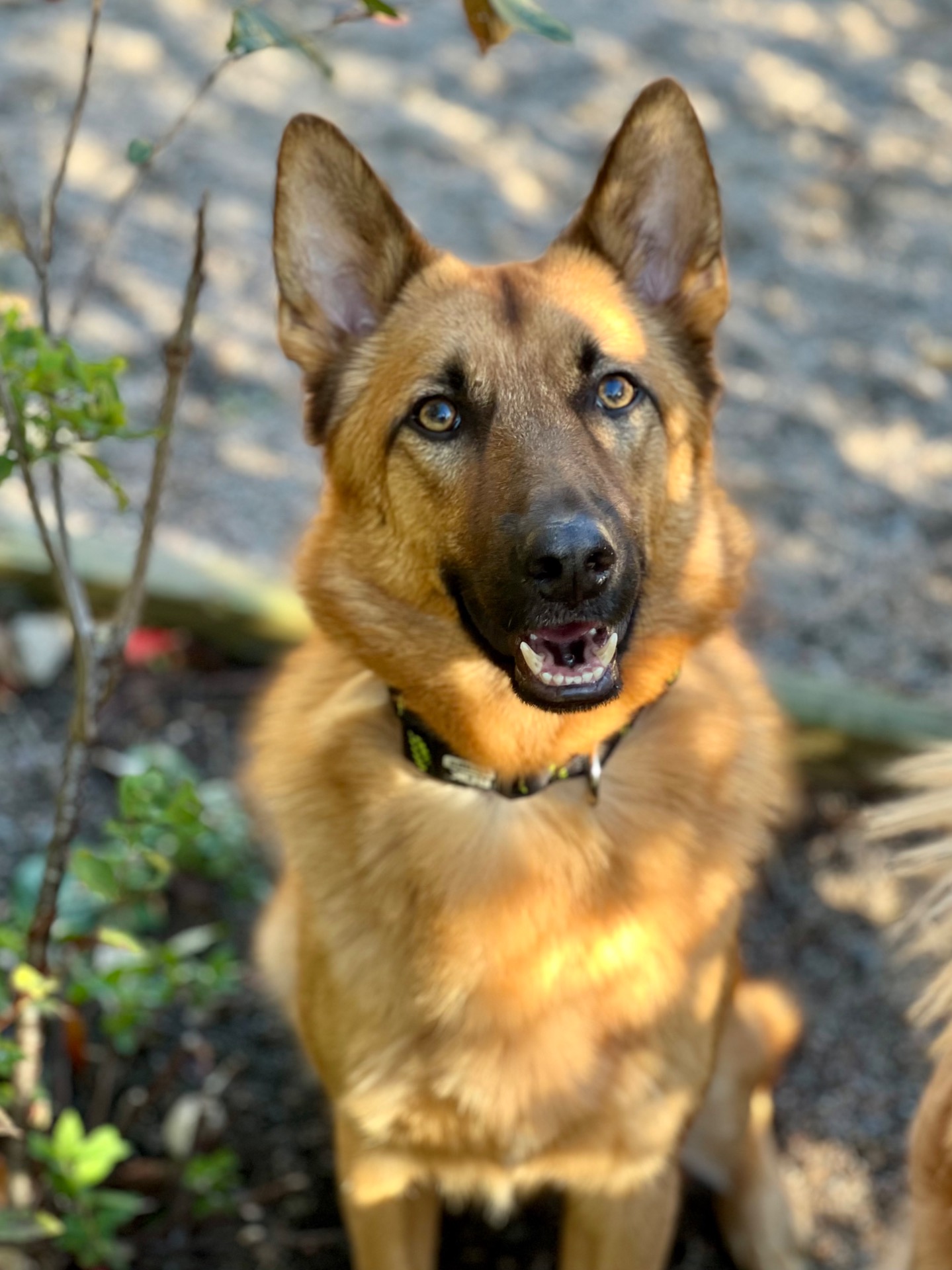 Jack